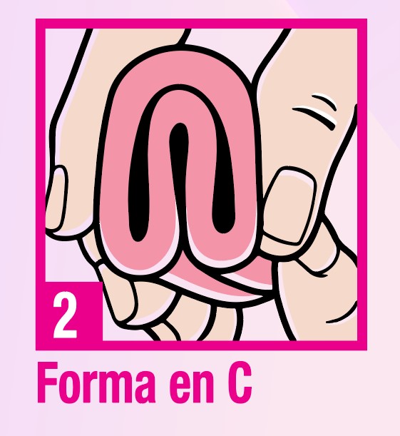 Forma C